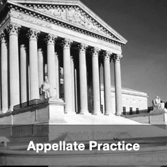 Appellate Practice