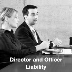 Director and Officer Liability