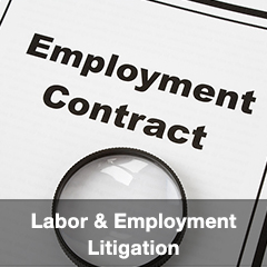 Labor & Employment Litigation