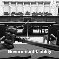 Government Liability